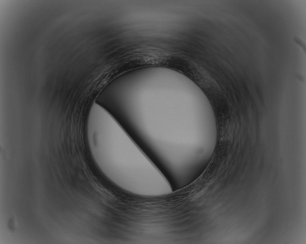 X0000097610646200802290757