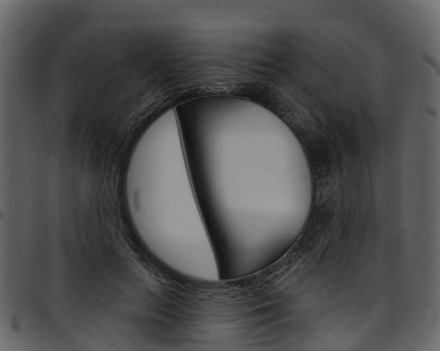 X0000097610647200802290757