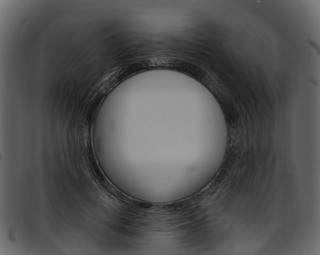 X0000097610648200802290757