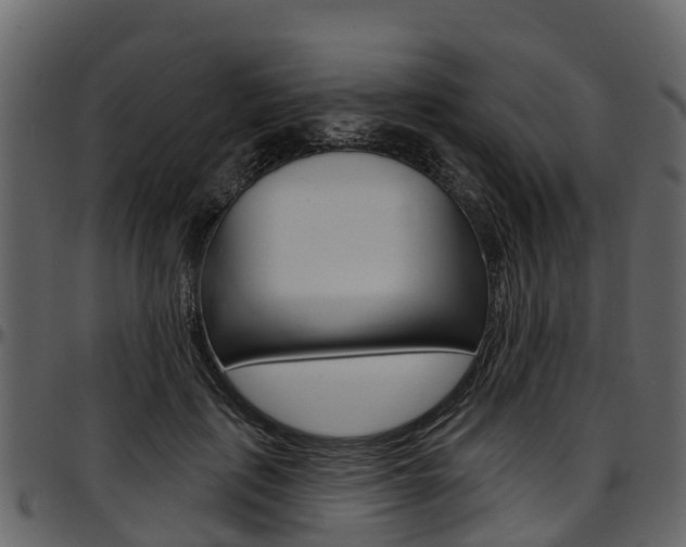 X0000097610651200802290757