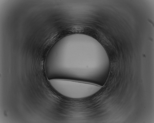 X0000097610652200802290757
