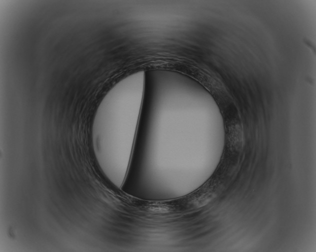 X0000097610653200802290757