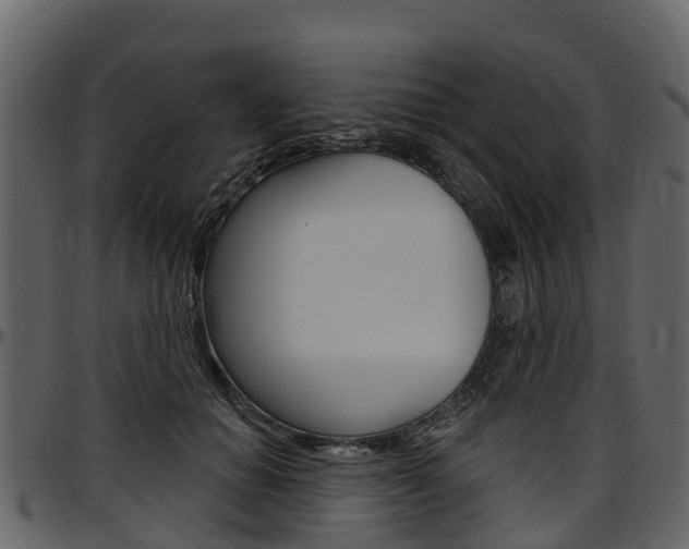 X0000097610654200802290757