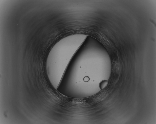 X0000097610655200802290757