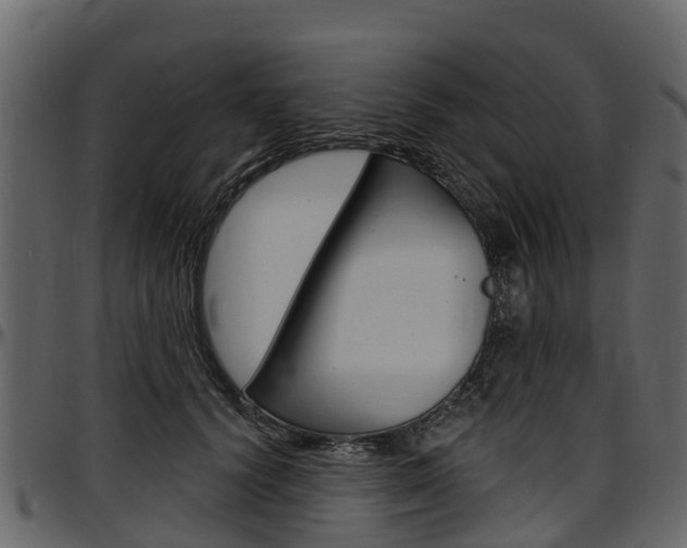 X0000097610656200802290757