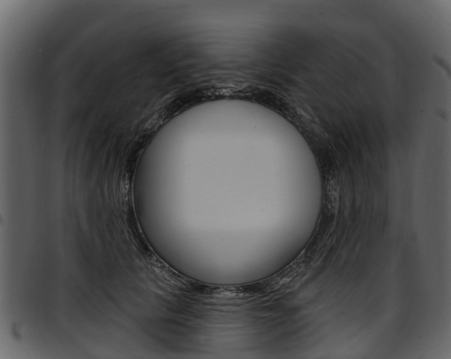 X0000097610657200802290757