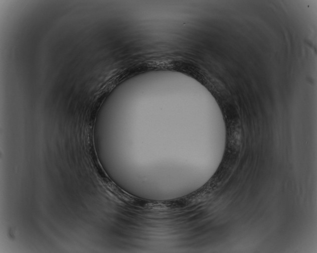 X0000097610658200802290757
