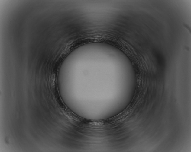 X0000097610660200802290757