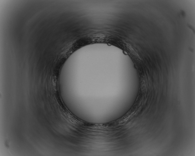 X0000097610661200802290757