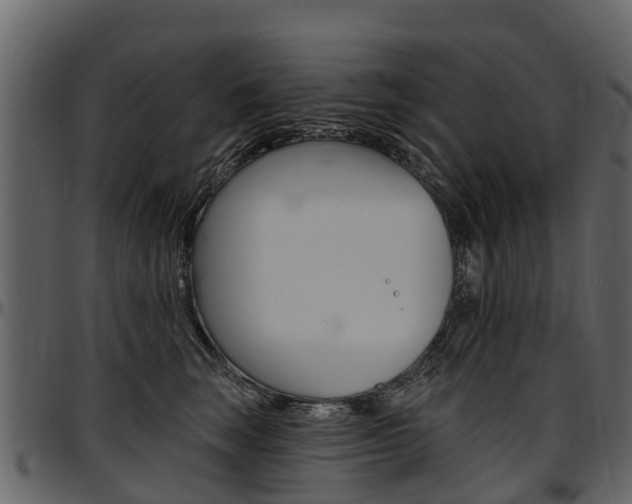 X0000097610663200802290757