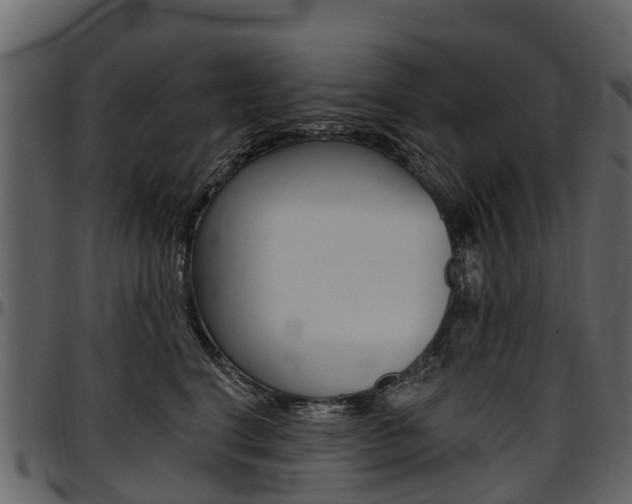 X0000097610664200802290757