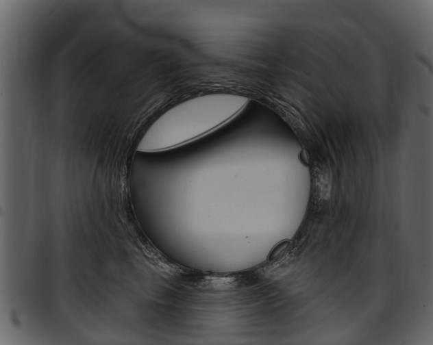X0000097610665200802290757