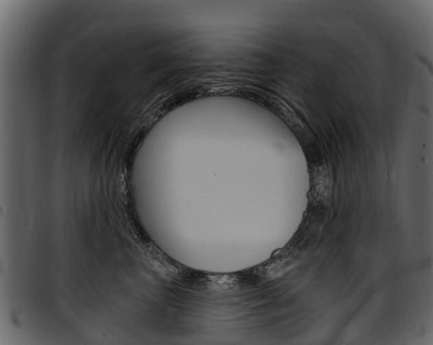 X0000097610667200802290757