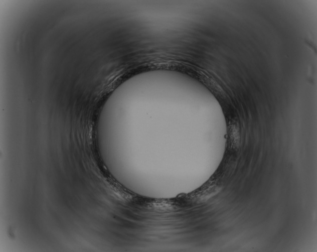X0000097610668200802290757
