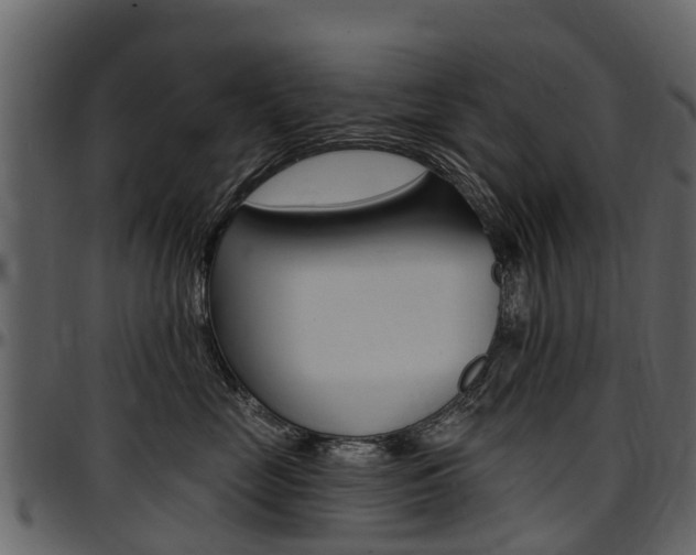 X0000097610669200802290757