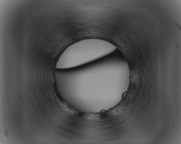 X0000097610670200802290757