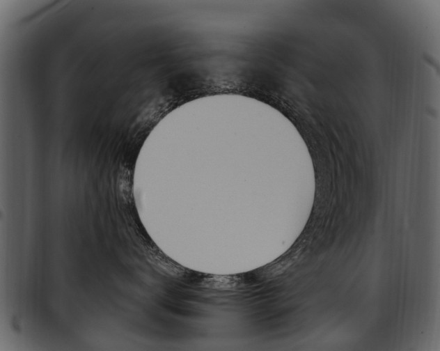 X0000097610672200802290757