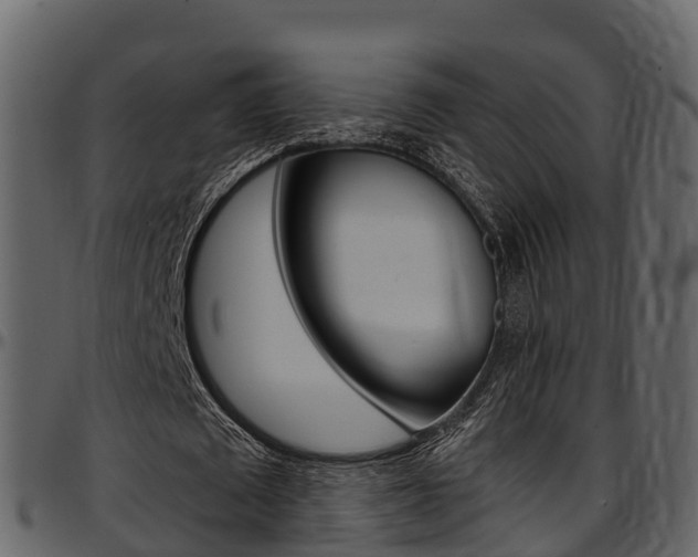 X0000097610673200802290756