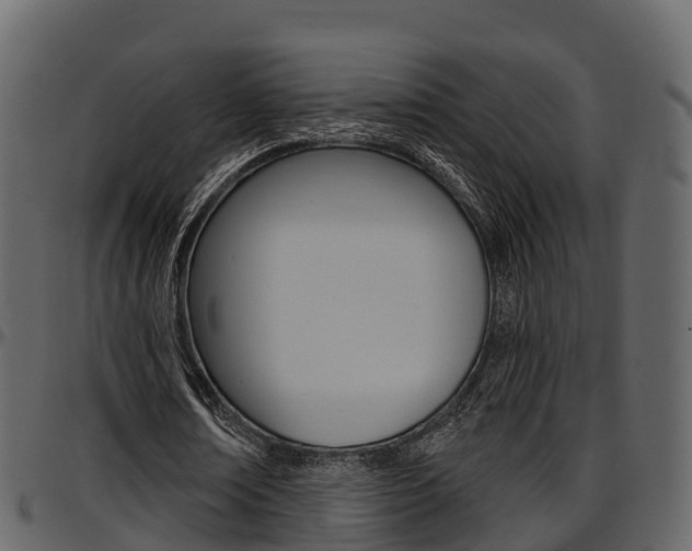 X0000097610674200802290756