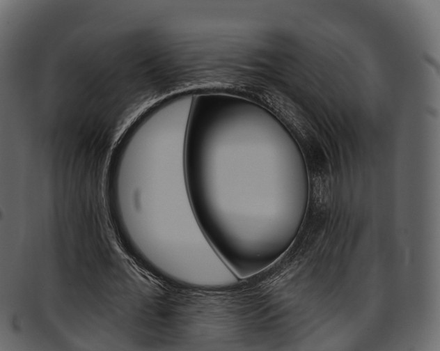 X0000097610676200802290756
