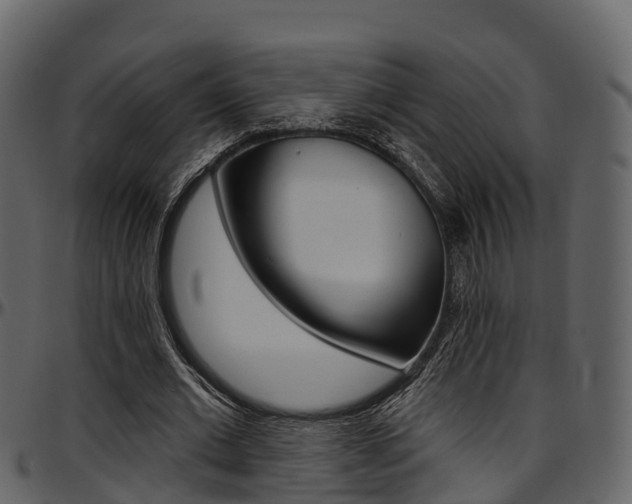 X0000097610677200802290756