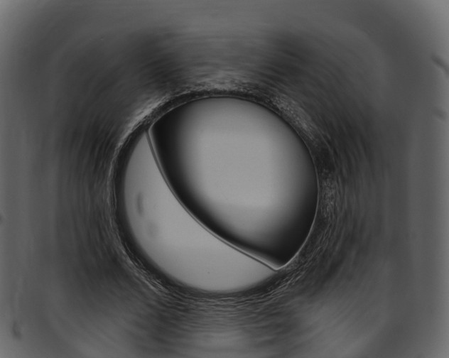 X0000097610680200802290756