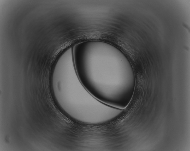 X0000097610681200802290756