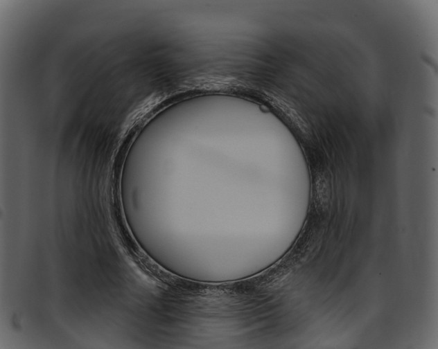 X0000097610682200802290756