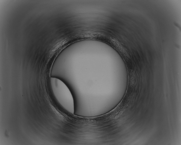 X0000097610683200802290756
