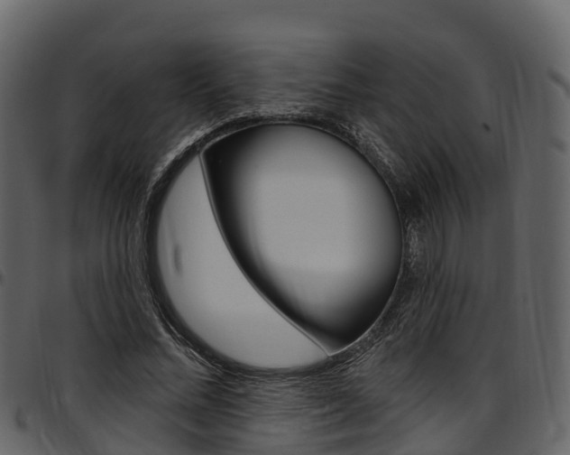 X0000097610684200802290756