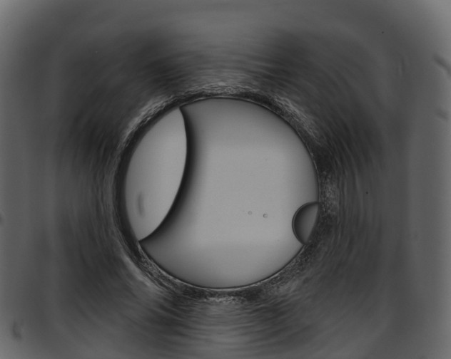 X0000097610686200802290756