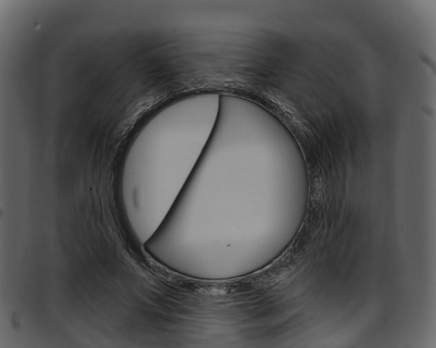 X0000097610687200802290756