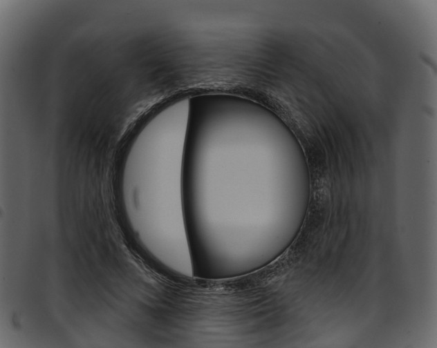 X0000097610688200802290756