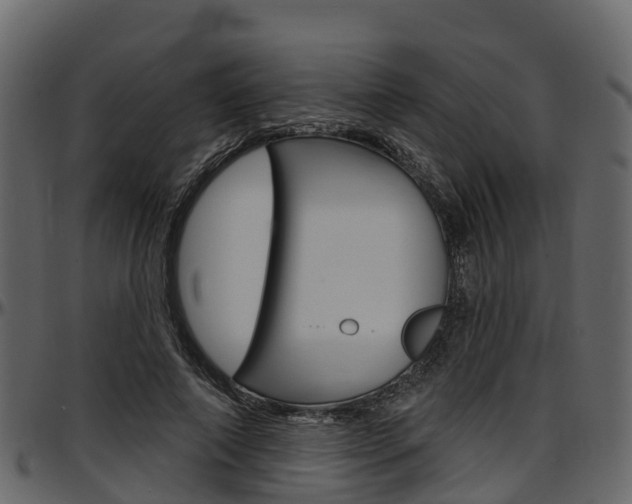 X0000097610690200802290756