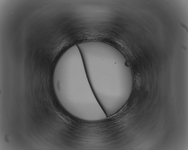 X0000097610691200802290756