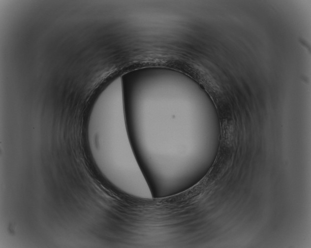 X0000097610692200802290756