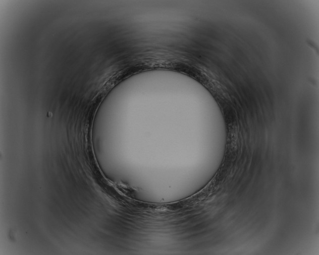 X0000097610695200802290756