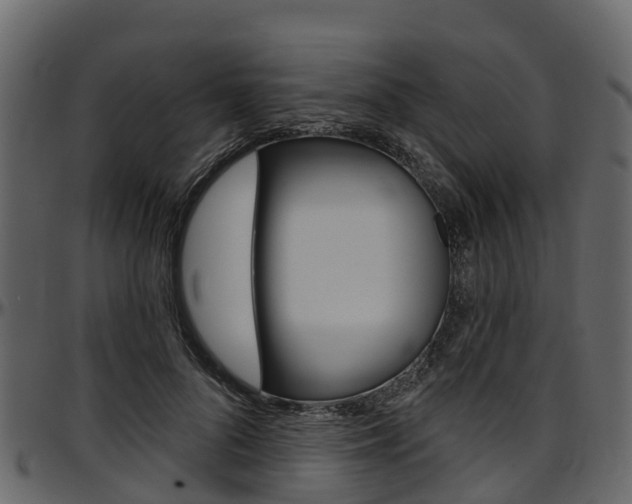 X0000097610696200802290756