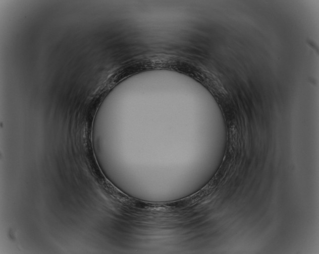 X0000097610698200802290756