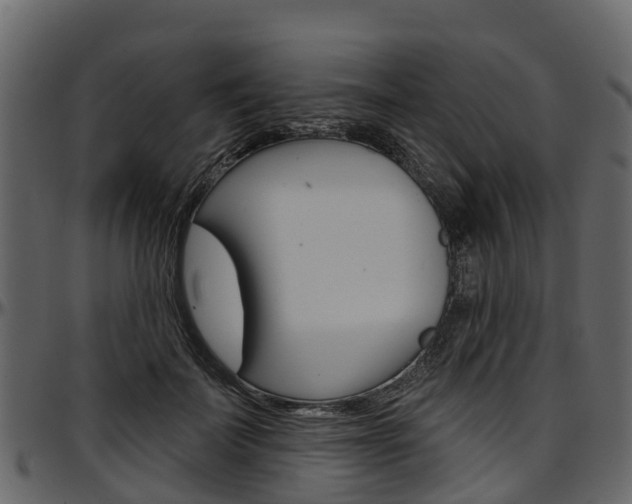 X0000097610699200802290756