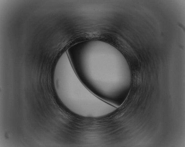 X0000097610700200802290756