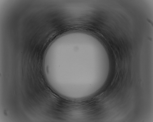 X0000097610701200802290756