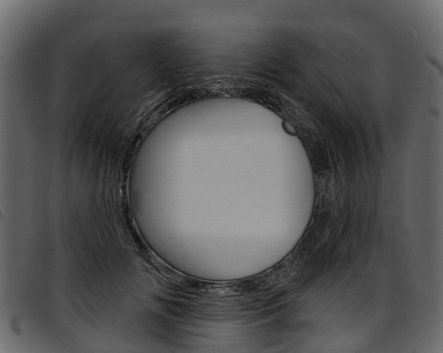 X0000097610702200802290756