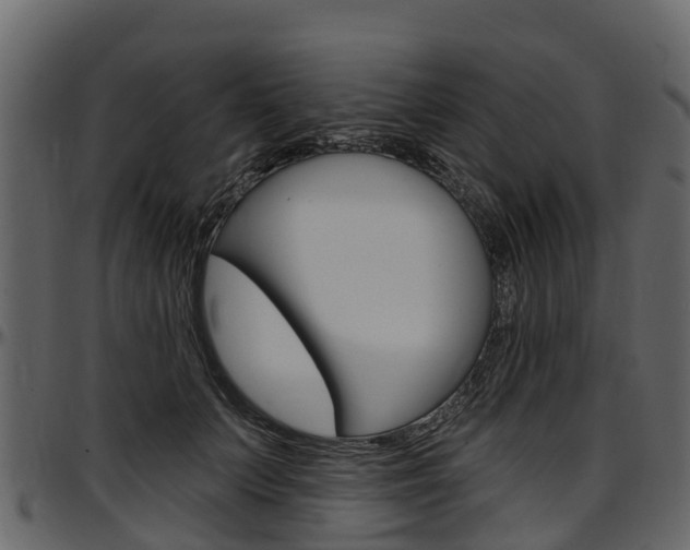 X0000097610703200802290756