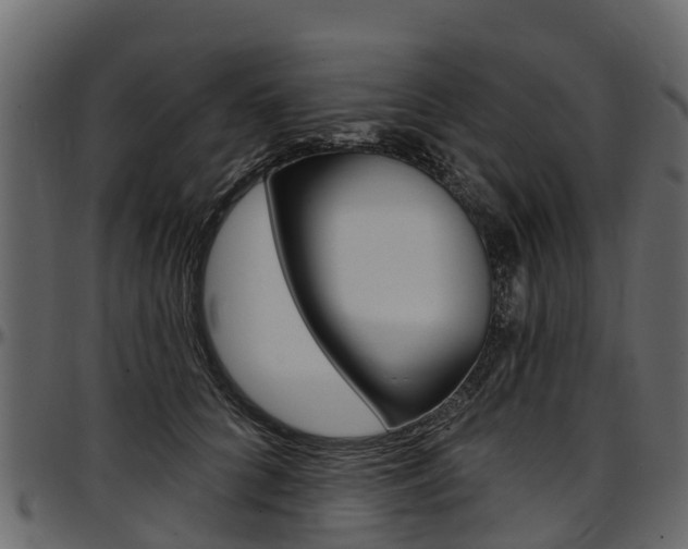 X0000097610704200802290756