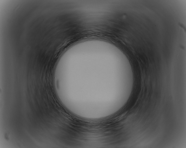 X0000097610705200802290756