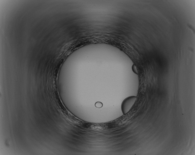 X0000097610706200802290756