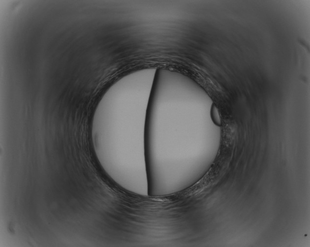 X0000097610707200802290756