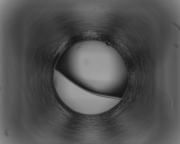 X0000097610708200802290756
