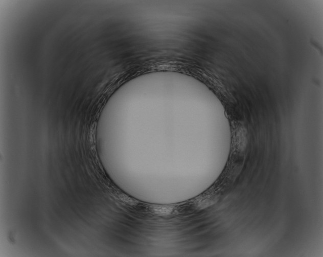 X0000097610709200802290756